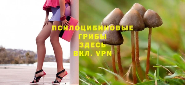 экстази Арсеньев