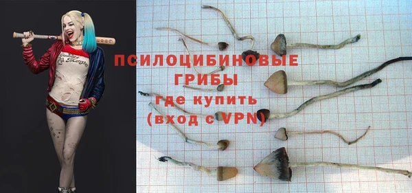 экстази Арсеньев