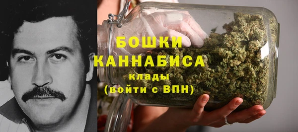 экстази Арсеньев